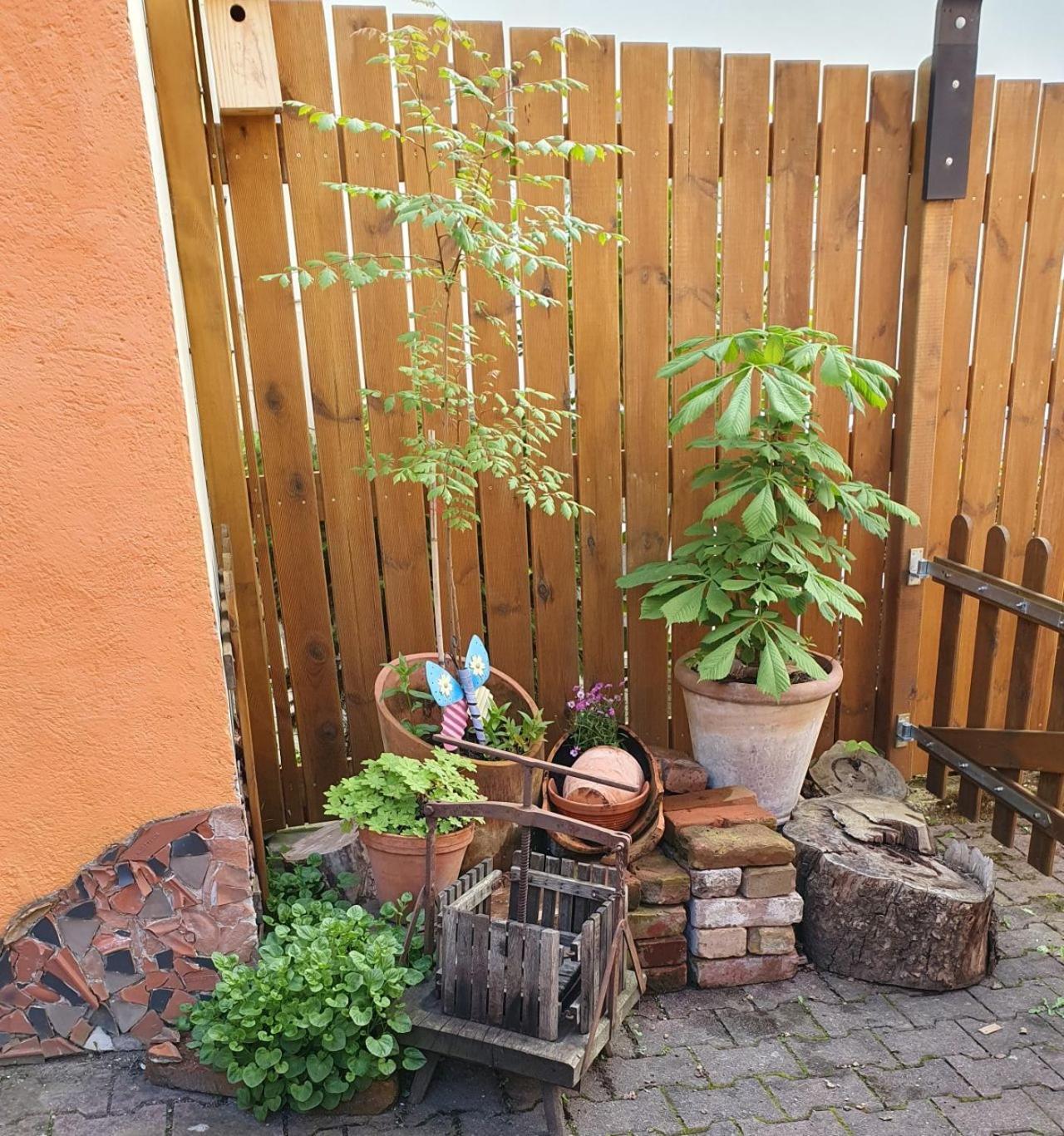 Vila Haus Zwanzig Weisel Exteriér fotografie